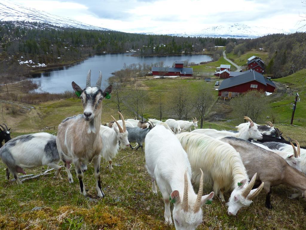 Saeterstad Gard Varntresk Bagian luar foto