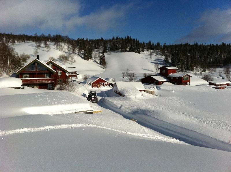 Saeterstad Gard Varntresk Bagian luar foto