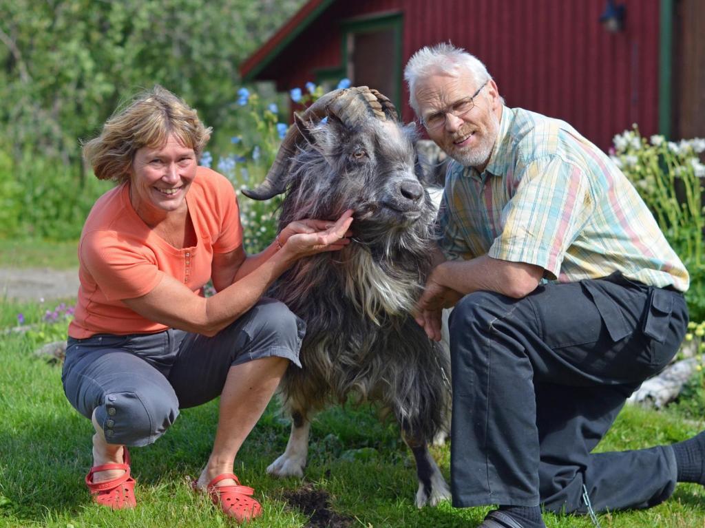 Saeterstad Gard Varntresk Bagian luar foto