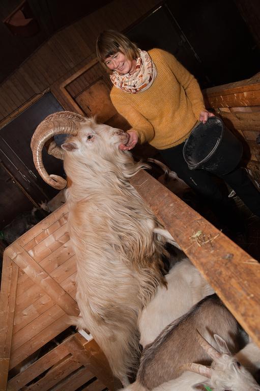 Saeterstad Gard Varntresk Bagian luar foto