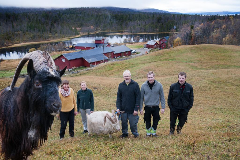 Saeterstad Gard Varntresk Bagian luar foto