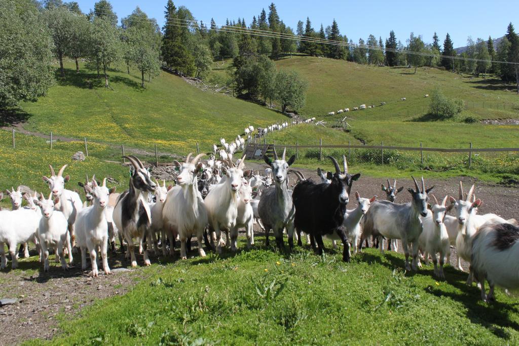 Saeterstad Gard Varntresk Bagian luar foto